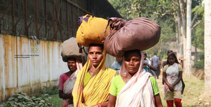 IB Study tour 2014_15