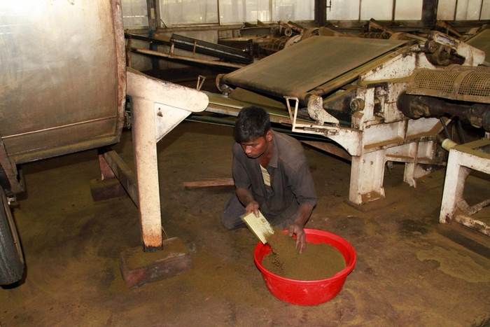 IB Study tour 2014_17