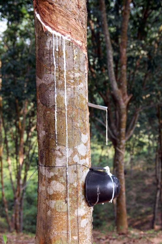 IB Study tour 2014_20