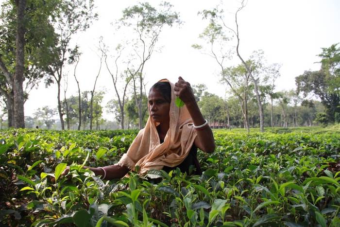 IB Study tour 2014_21