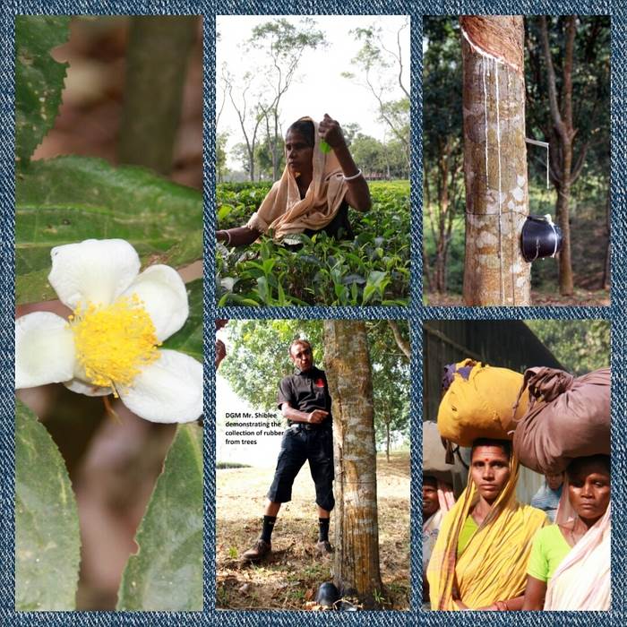 IB Study tour 2014_6