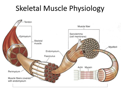 The department of Computer Science, AIUB organized its Inaugural Computing Lecture Series on 04 September 2021.